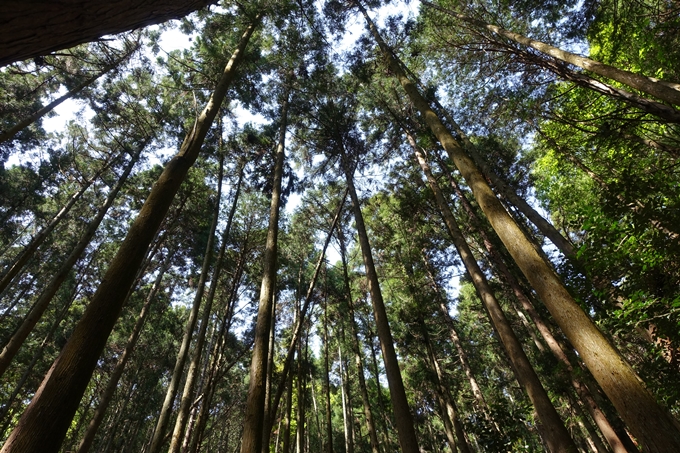 霊仙ヶ岳登山_法貴古墳群_法貴城跡　No34