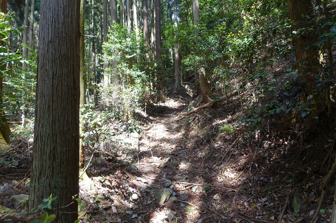 霊仙ヶ岳登山_法貴古墳群_法貴城跡　No35