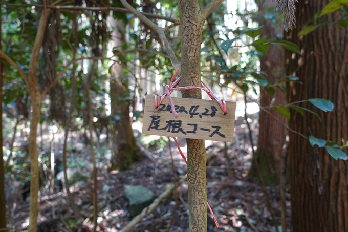 霊仙ヶ岳登山_法貴古墳群_法貴城跡　No36