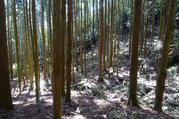 霊仙ヶ岳登山_法貴古墳群_法貴城跡　No38