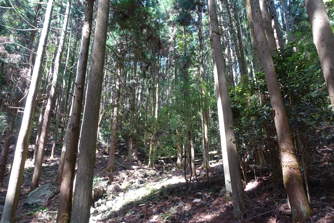 霊仙ヶ岳登山_法貴古墳群_法貴城跡　No39