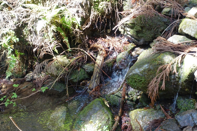 霊仙ヶ岳登山_法貴古墳群_法貴城跡　No40