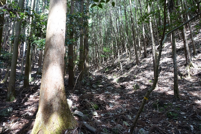 霊仙ヶ岳登山_法貴古墳群_法貴城跡　No42