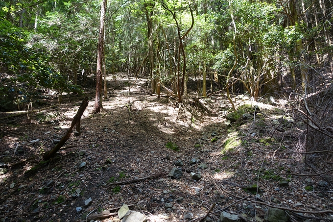 霊仙ヶ岳登山_法貴古墳群_法貴城跡　No43