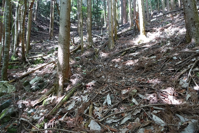 霊仙ヶ岳登山_法貴古墳群_法貴城跡　No44