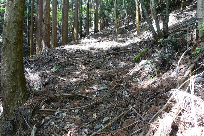 霊仙ヶ岳登山_法貴古墳群_法貴城跡　No45