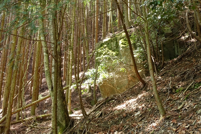 霊仙ヶ岳登山_法貴古墳群_法貴城跡　No47