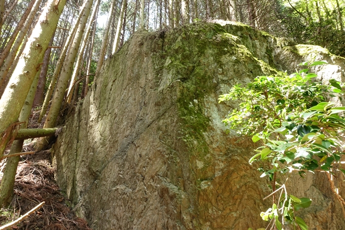 霊仙ヶ岳登山_法貴古墳群_法貴城跡　No48