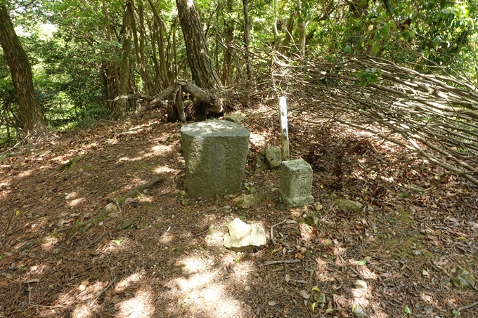 霊仙ヶ岳登山_法貴古墳群_法貴城跡　No51