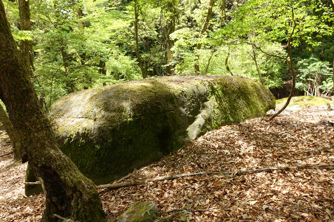 霊仙ヶ岳登山_法貴古墳群_法貴城跡　No56