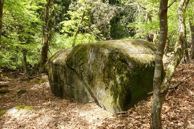 霊仙ヶ岳登山_法貴古墳群_法貴城跡　No57