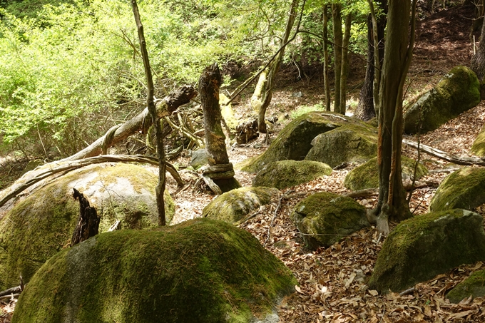 霊仙ヶ岳登山_法貴古墳群_法貴城跡　No58