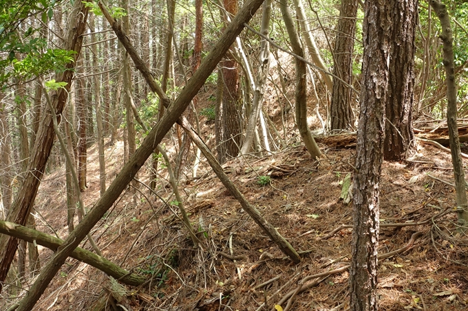 霊仙ヶ岳登山_法貴古墳群_法貴城跡　No59