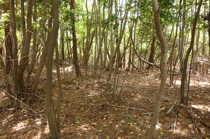 霊仙ヶ岳登山_法貴古墳群_法貴城跡　No60