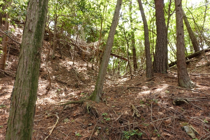 霊仙ヶ岳登山_法貴古墳群_法貴城跡　No61