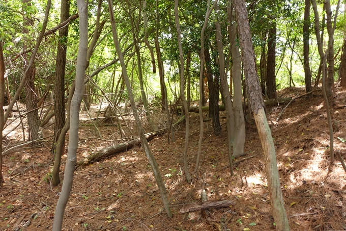 霊仙ヶ岳登山_法貴古墳群_法貴城跡　No63