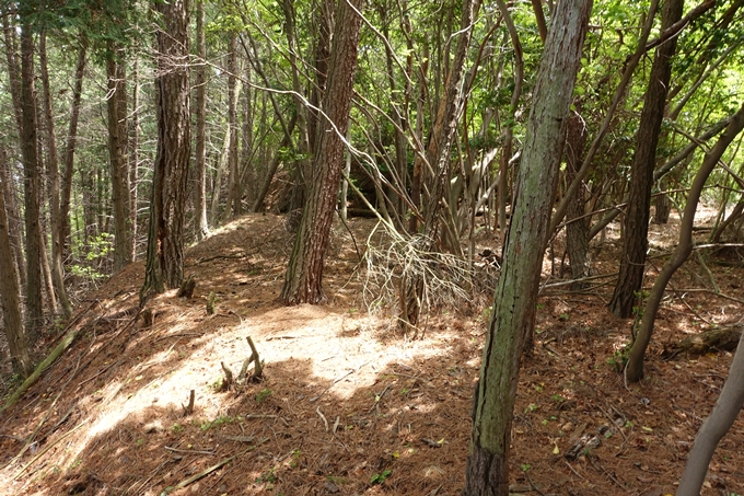 霊仙ヶ岳登山_法貴古墳群_法貴城跡　No64