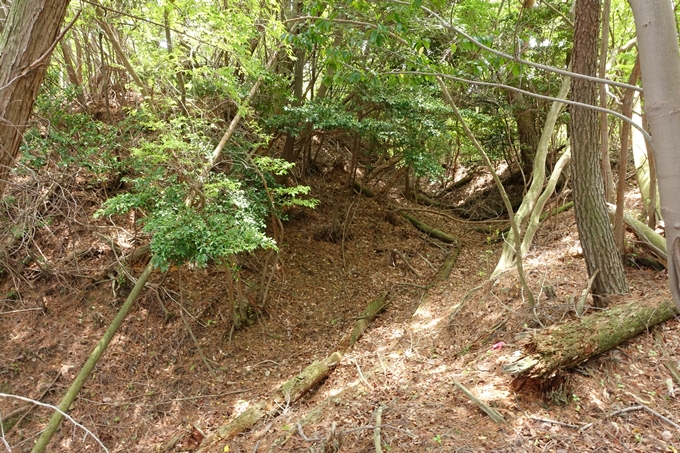 霊仙ヶ岳登山_法貴古墳群_法貴城跡　No65