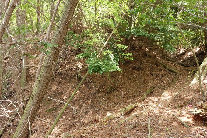 霊仙ヶ岳登山_法貴古墳群_法貴城跡　No67