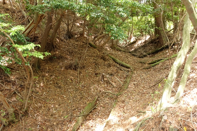 霊仙ヶ岳登山_法貴古墳群_法貴城跡　No68