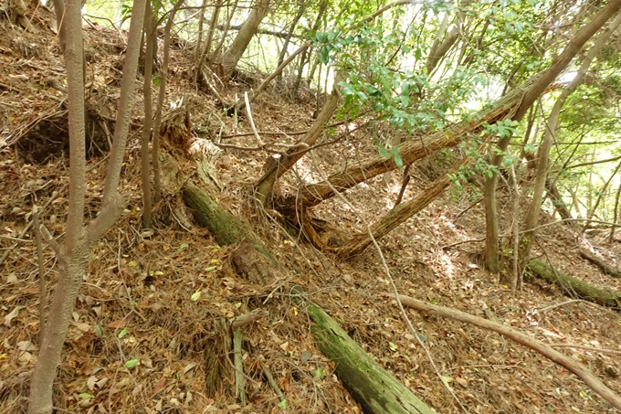 霊仙ヶ岳登山_法貴古墳群_法貴城跡　No69