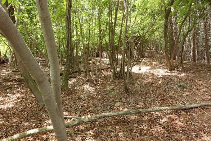 霊仙ヶ岳登山_法貴古墳群_法貴城跡　No71