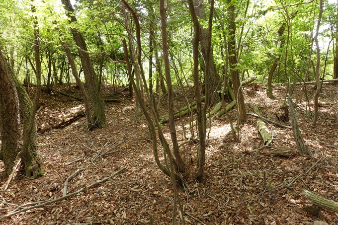 霊仙ヶ岳登山_法貴古墳群_法貴城跡　No72