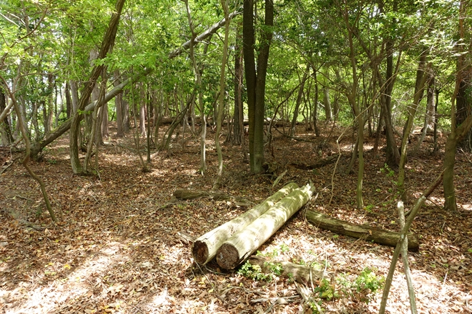 霊仙ヶ岳登山_法貴古墳群_法貴城跡　No73