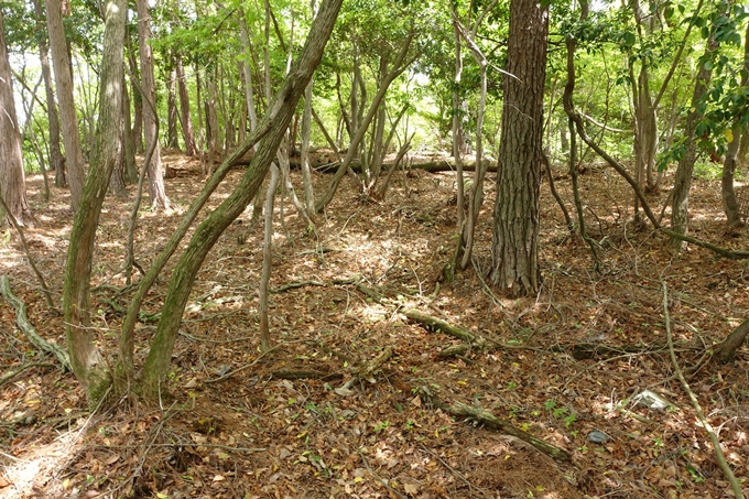 霊仙ヶ岳登山_法貴古墳群_法貴城跡　No74