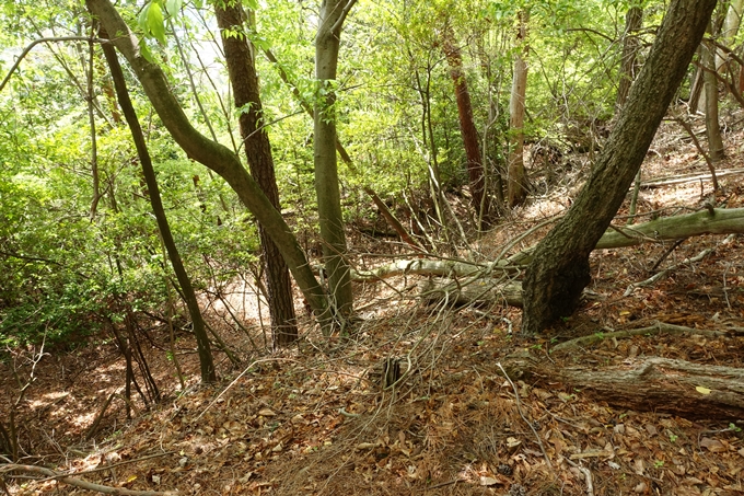 霊仙ヶ岳登山_法貴古墳群_法貴城跡　No75