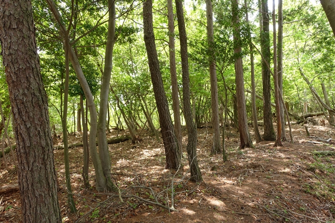 霊仙ヶ岳登山_法貴古墳群_法貴城跡　No78