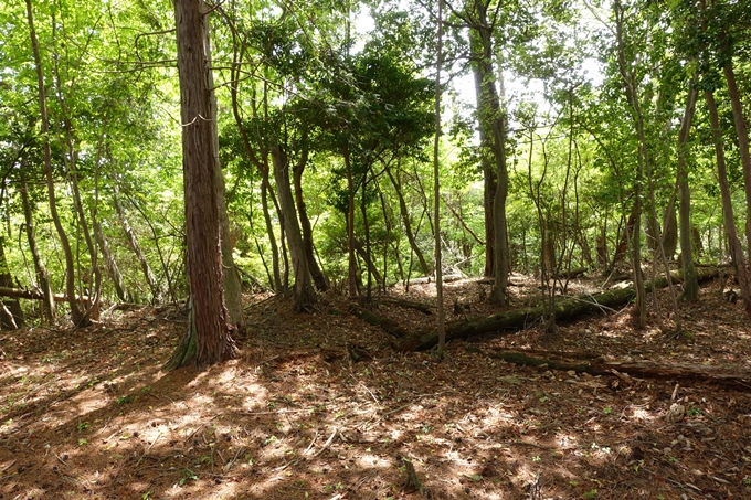 霊仙ヶ岳登山_法貴古墳群_法貴城跡　No79