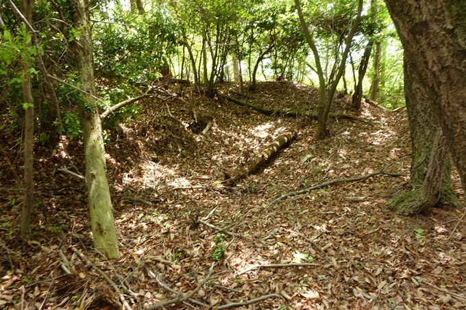 霊仙ヶ岳登山_法貴古墳群_法貴城跡　No80