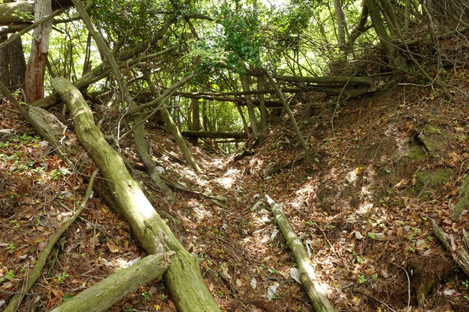 霊仙ヶ岳登山_法貴古墳群_法貴城跡　No81