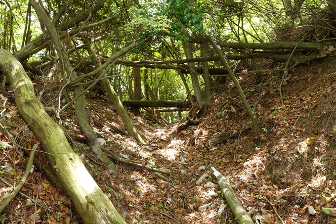 霊仙ヶ岳登山_法貴古墳群_法貴城跡　No82