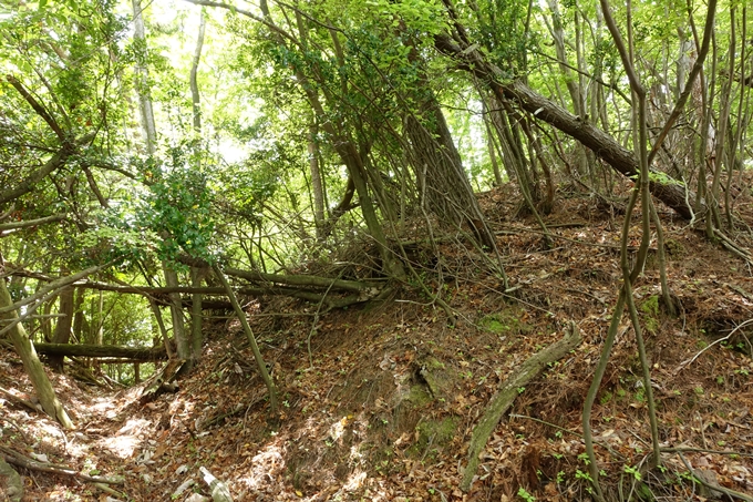 霊仙ヶ岳登山_法貴古墳群_法貴城跡　No83