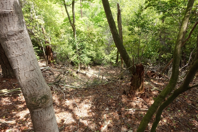 霊仙ヶ岳登山_法貴古墳群_法貴城跡　No84