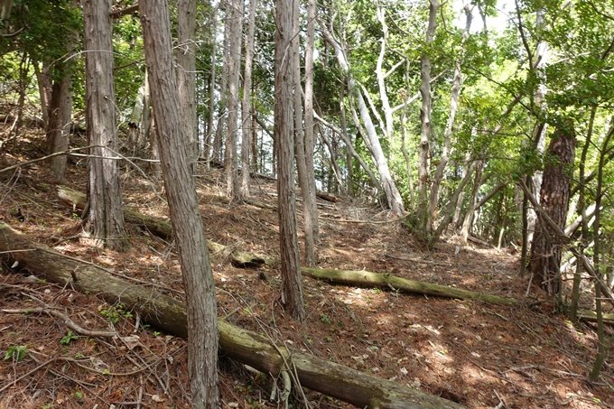 霊仙ヶ岳登山_法貴古墳群_法貴城跡　No85