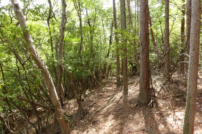 霊仙ヶ岳登山_法貴古墳群_法貴城跡　No86