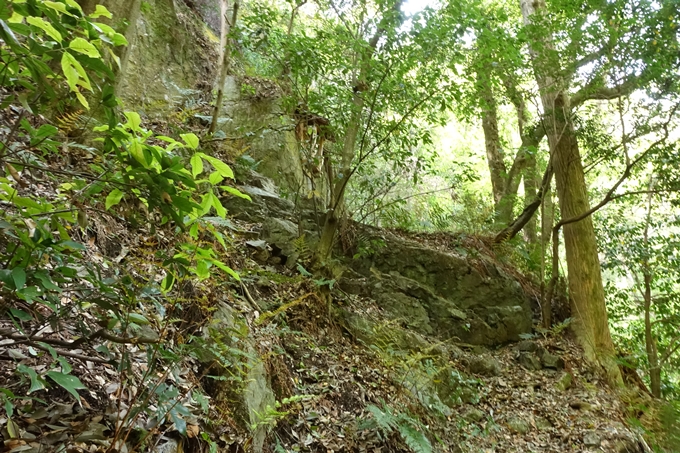 霊仙ヶ岳登山_法貴古墳群_法貴城跡　No91