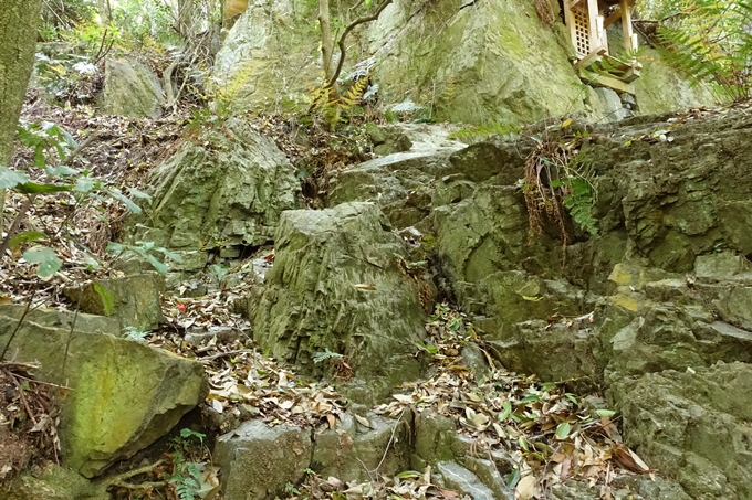 霊仙ヶ岳登山_法貴古墳群_法貴城跡　No93