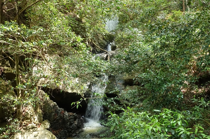 霊仙ヶ岳登山_法貴古墳群_法貴城跡　No99