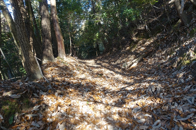 瑞巌寺　廃寺跡　No18