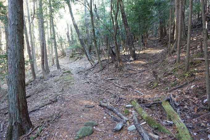 瑞巌寺　廃寺跡　No20