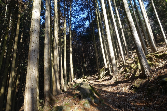 瑞巌寺　廃寺跡　No21