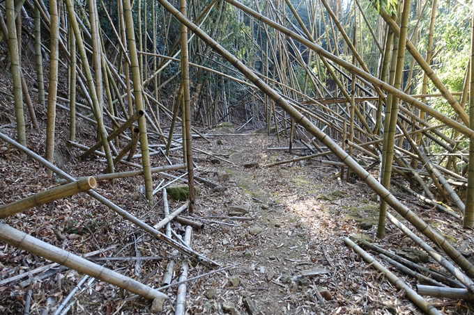 瑞巌寺　廃寺跡　No33