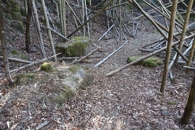 瑞巌寺　廃寺跡　No32