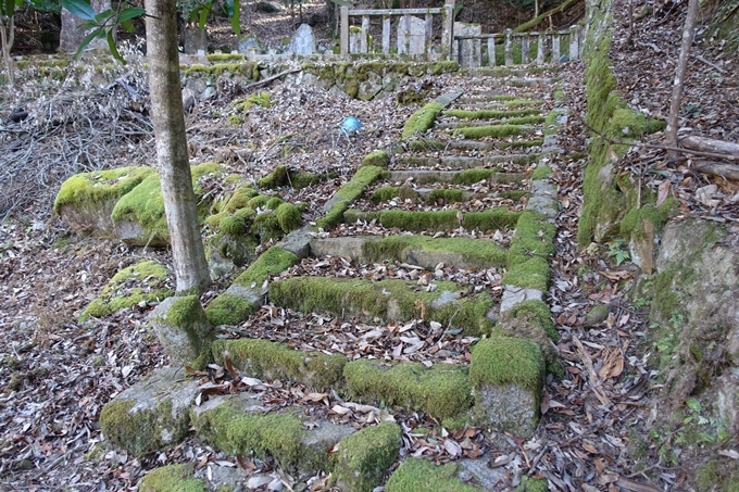 瑞巌寺　廃寺跡　No31