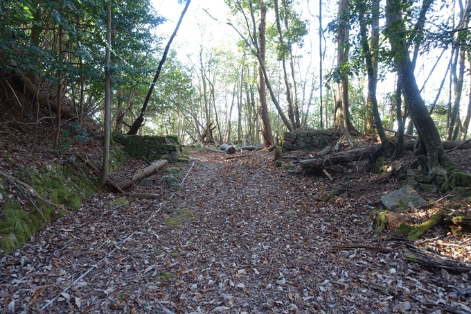 瑞巌寺　廃寺跡　No29