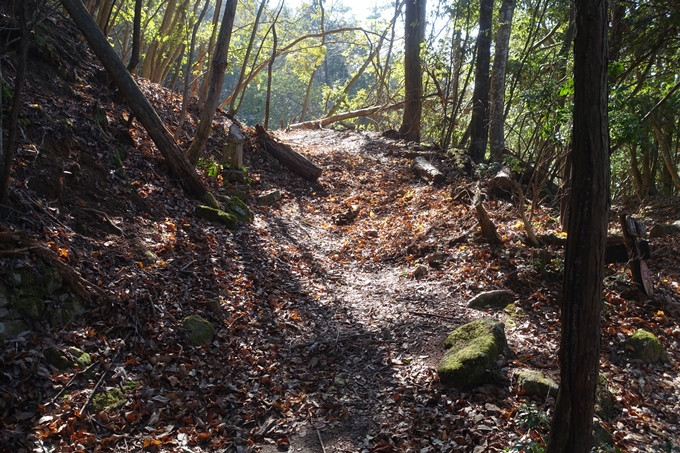 瑞巌寺　廃寺跡　No50